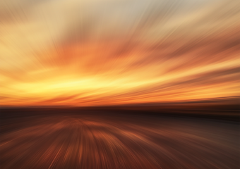 Sun shining through leaf